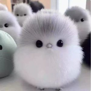 王晓然创建